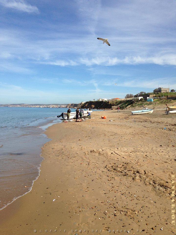 LES ANDALOUSES  (3) PLAGE.jpg